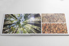 Photo Book